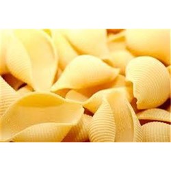 #29 Large Shells 10Kg