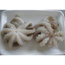 Baby Octopus 16/25 Raw 1kg