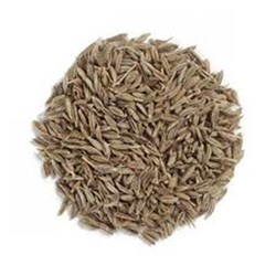 Cumin Seeds 500g