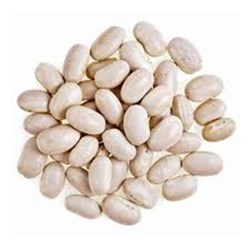Great Northern Bean 5Kg