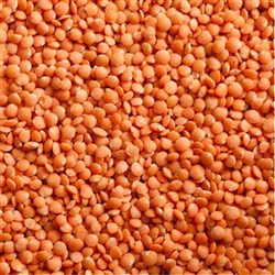 Lentils Red 1kg