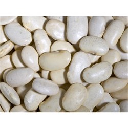 Lima Beans 1kg
