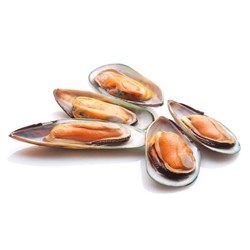 Mussels Half Shell 1kg