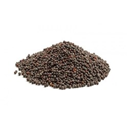 Mustard Seeds Black/Brown 1kg