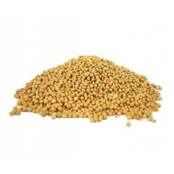 Mustard Seeds Yellow 1Kg