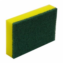 Scourer Sponge 10s 15x10cm