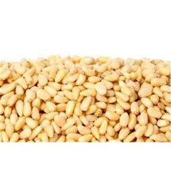 Pine Nuts 25kg