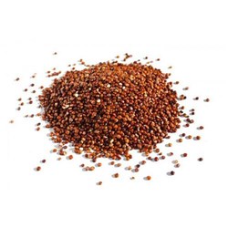 Quinoa Seeds Red 25Kg