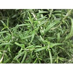 Rosemary Leaves 25kg