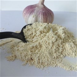 Garlic Powder 12.5Kg