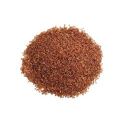 Quinoa Seeds Red 10Kg