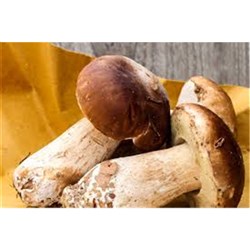 Porcini Mushrooms Whole 2-4cm 1Kg