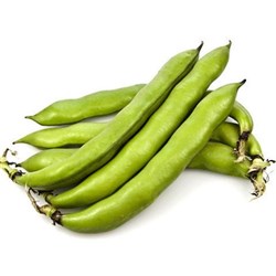 Broad Beans 550g