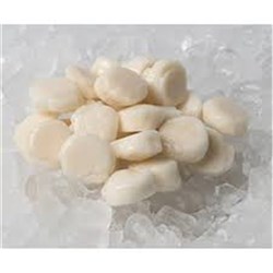Scallops 20/30 1kg HTC