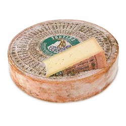 Fontina R/W