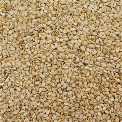 Sesame Seeds 12.5kg