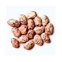 Pinto Beans 25Kg