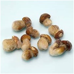 Porcini Mushrooms 500g