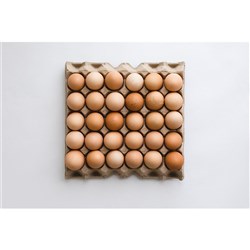 Eggs Trays 600g Free Range