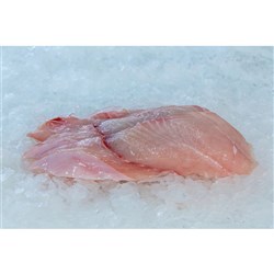 Elephant Flake Fillets Cut 9Kg