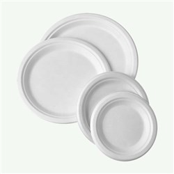 Plates 10inch White Sugarcane 125s