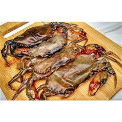 Soft Shell Crab 100/120