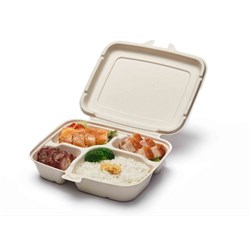 Pulp Rectangle 4-Compartment Hinged 200s