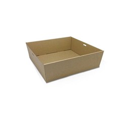 Catering Tray Medium Square 250x250x80mm 100s