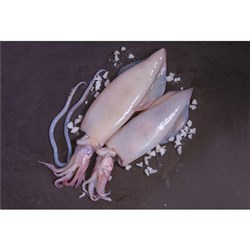 Baby Squid Whole Cleaned 3-5" 1Kg