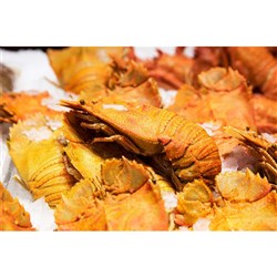 Moreton Bay Bugs Cooked C/W