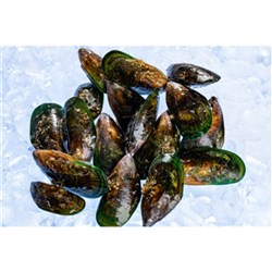 Mussels Raw Whole Green Shell 1Kg
