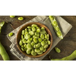 Fava Beans 25Kg