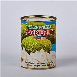 Green Jackfruit 565g