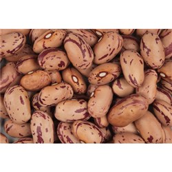 Borlotti Beans 25Kg
