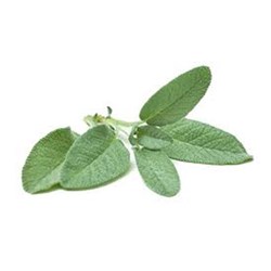 Sage Leaves 1Kg