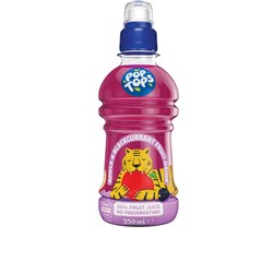 Apple Blackcurrant Fruit Drink 24x250ml