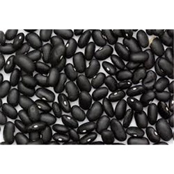 Black Turtle Bean 25kg