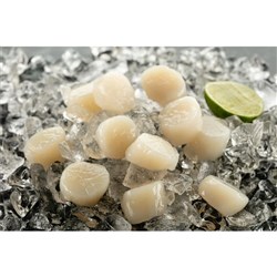 Scallops Roe Off 10/20 1Kg