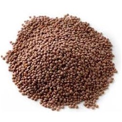 Lentils Brown Nipper 25Kg
