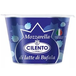 Buffalo Mozzarella 15x125g