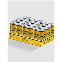 Salaam Mangostan 24x330ml
