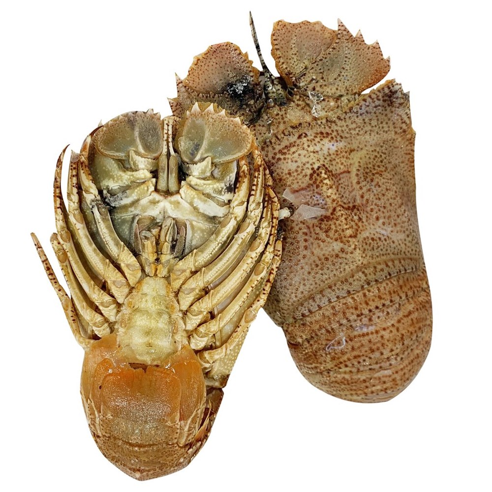 Baybug Seafood - Moreton Bay Bug Whole 1KgUnited Foodservice - United Foodservice
